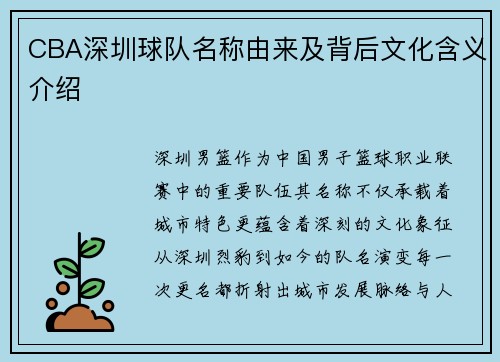 CBA深圳球队名称由来及背后文化含义介绍